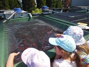 Celodenní výlet Mnichovo Hradiště